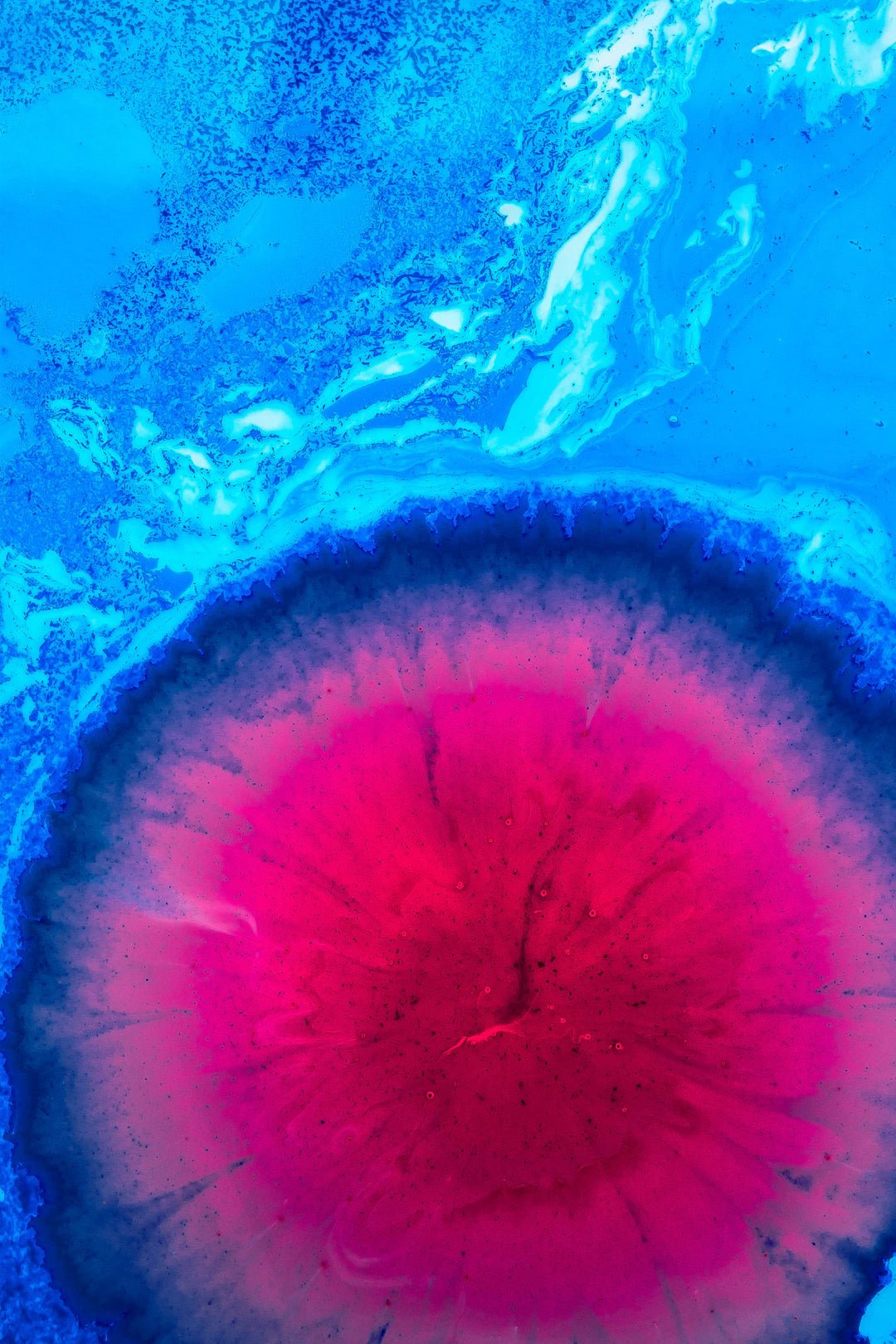 Finde die perfekte Farbe für deine Haarverlängerungen! - SOLOH